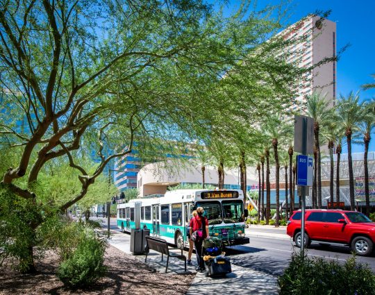 Photo Credit: Phoenix Public Transit